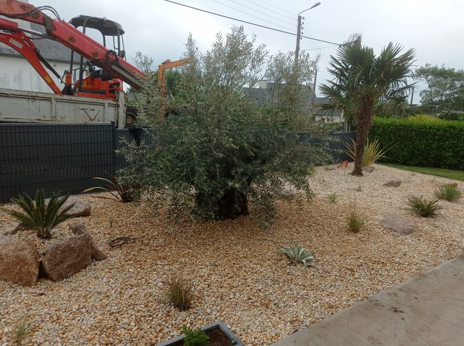 plantation